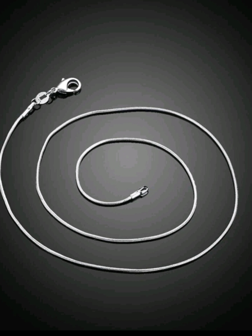 Sterling Silver Snake Chain Necklace - Silver